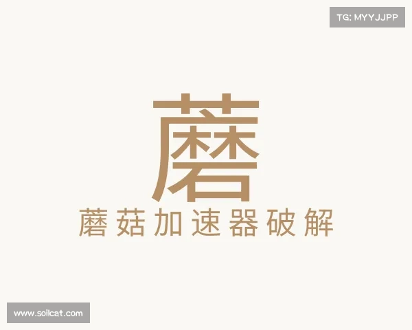 介绍蘑菇加速器破解